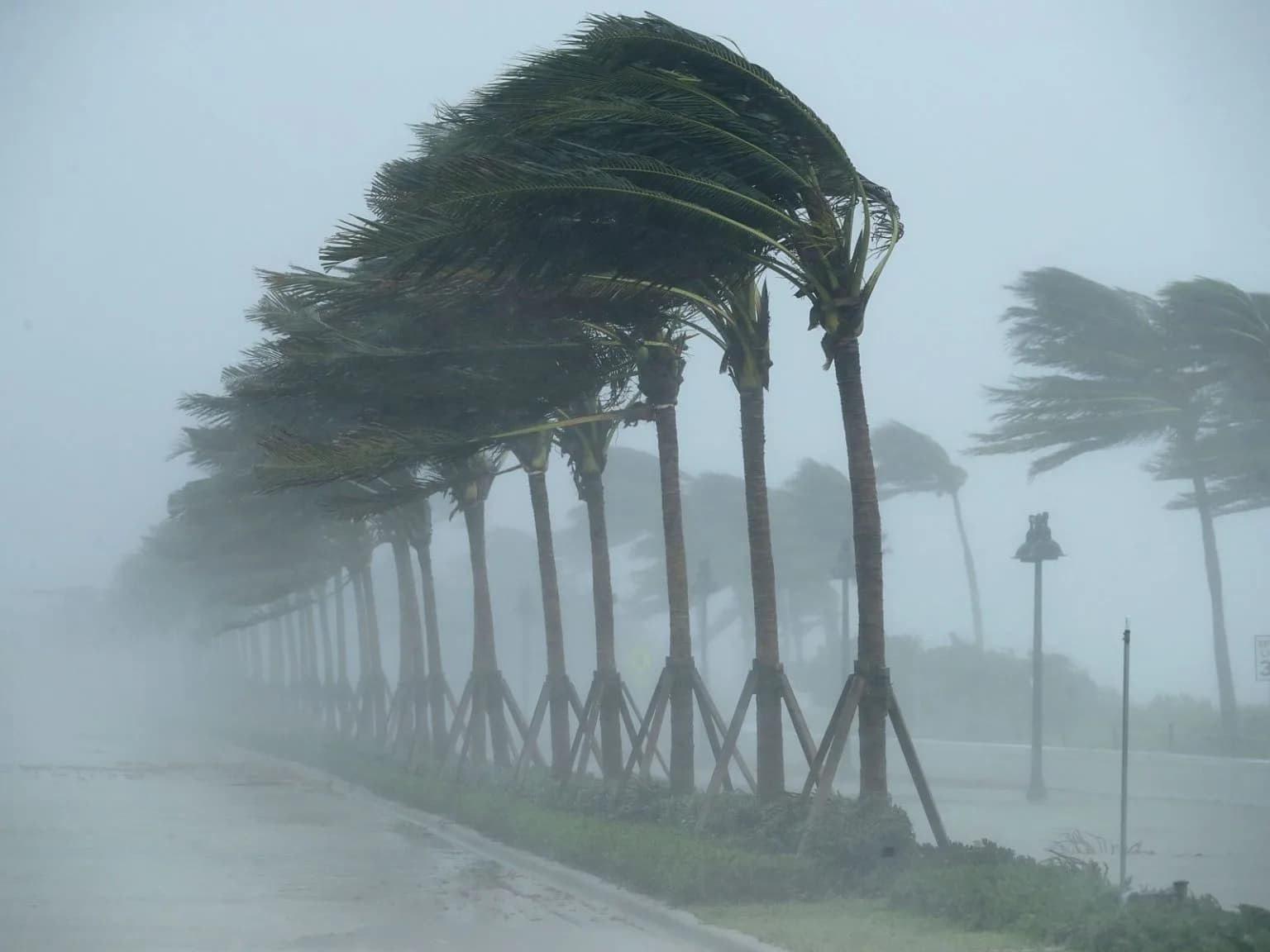 Florida hurricane with palm trees in heavy wind — post-storm commercial cleanup service