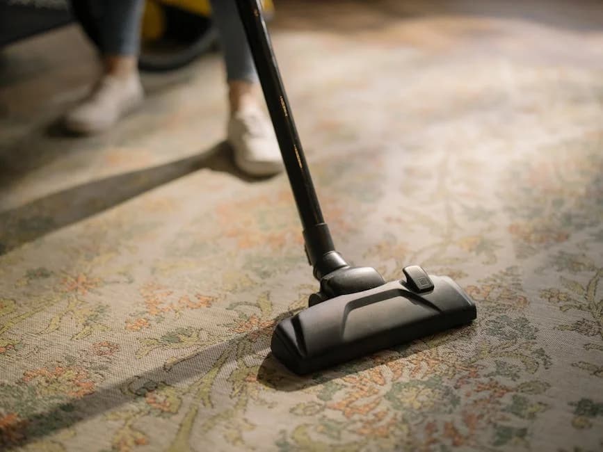 Professional commercial carpet cleaning maintaining fresh appearance