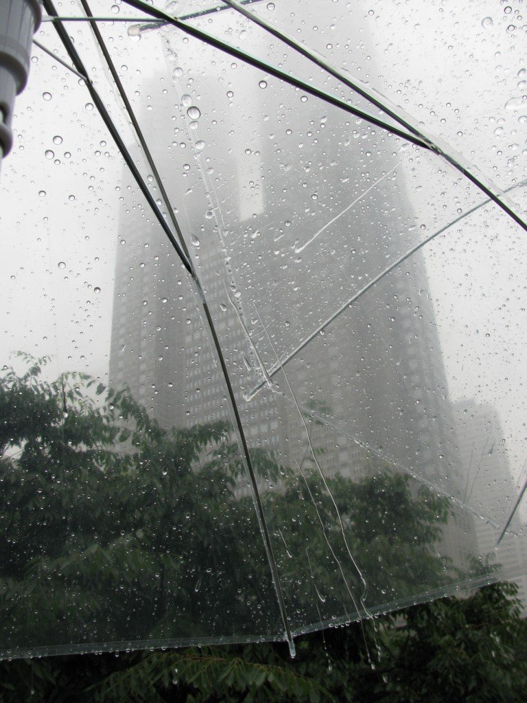 Plum_rain_in_Shinjuku,_Tokyo