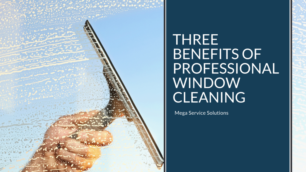 Professional Window Cleaning in Tampa