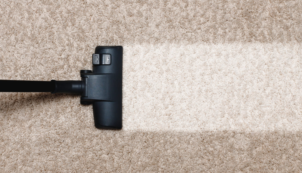 Cleaning white pile carpet